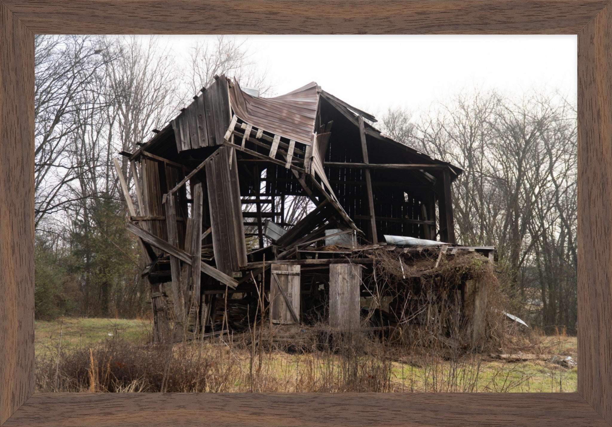 Still Standing Strong Fine Art Photograph | Framed