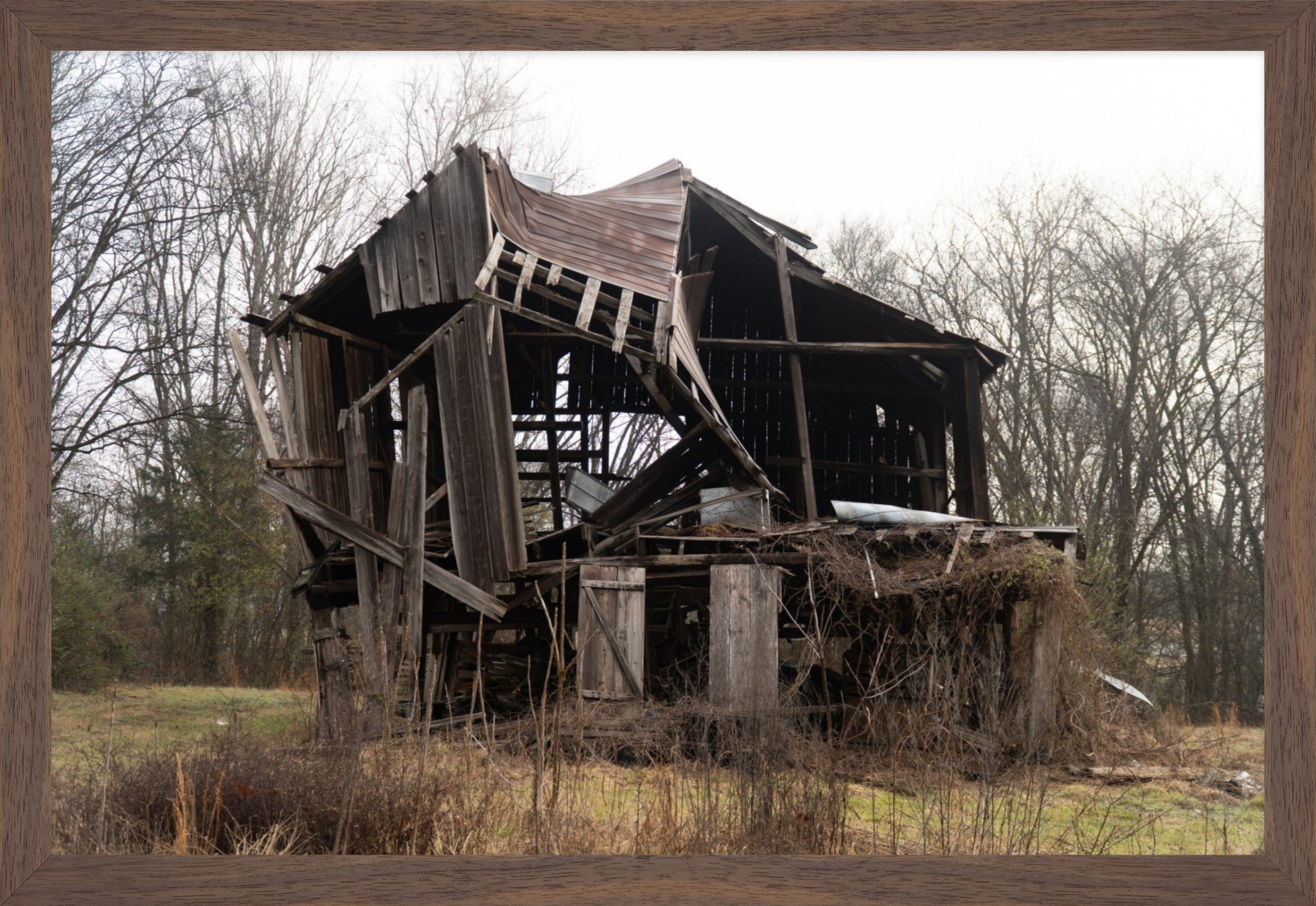Still Standing Strong Fine Art Photograph | Framed