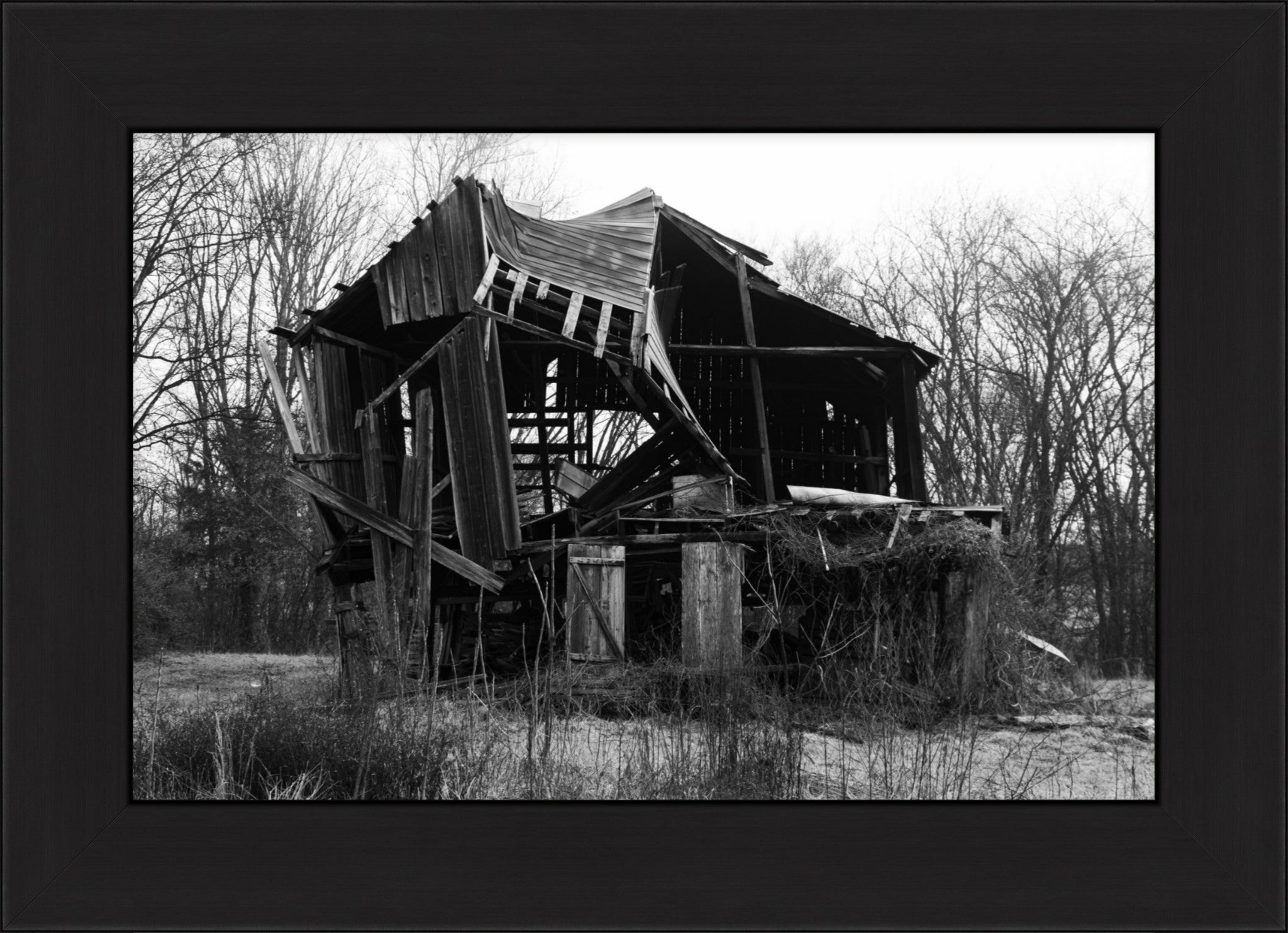 Still Standing Strong Fine Art Photograph | Framed