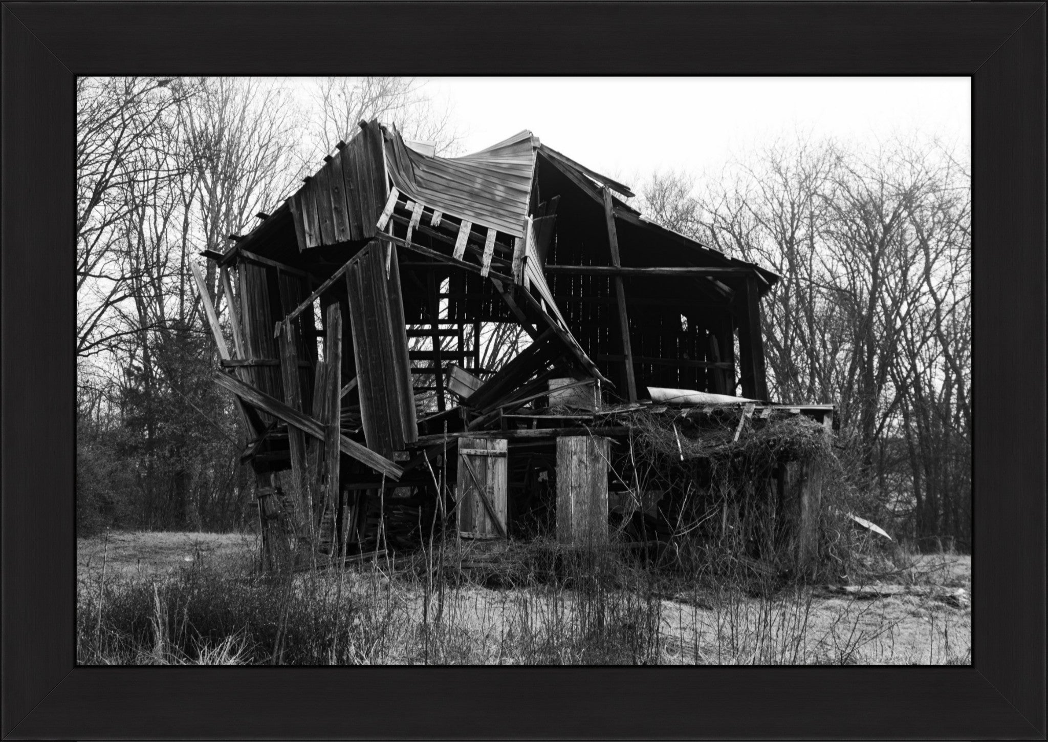Still Standing Strong Fine Art Photograph | Framed